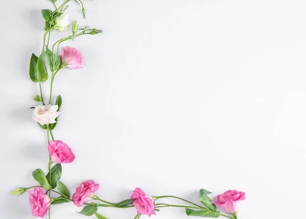 Hermosas flores de eustoma sobre fondo blanco — Foto de Stock