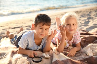 Sahilde deniz kabukları küçük sevimli çocukla