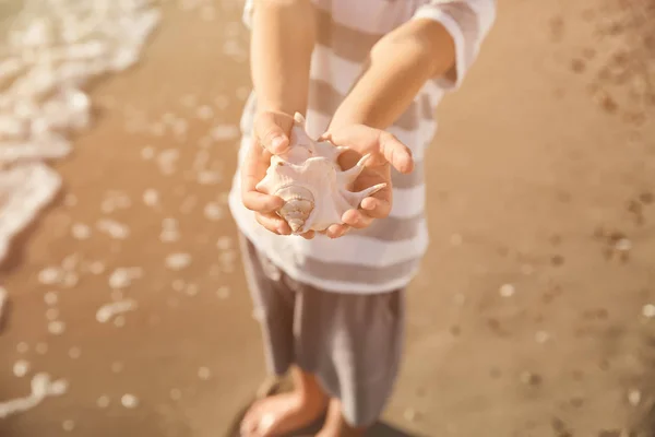 Niedlicher kleiner Junge mit Muschel am Strand, Nahaufnahme — Stockfoto