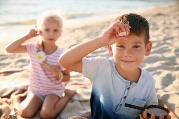 Bambini piccoli e carini che giocano con conchiglie sulla spiaggia — Foto Stock