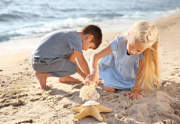Niedliche kleine Kinder sammeln Muscheln am Strand — Stockfoto