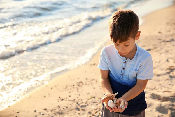 Netter kleiner Junge mit Muscheln am Strand — Stockfoto