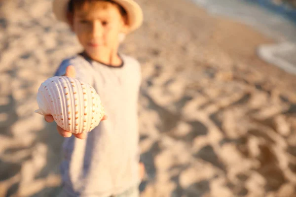 Netter kleiner Junge mit Muschel am Strand — Stockfoto