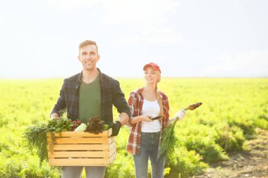 Çiftçiler alanında toplanan sebzeler ile