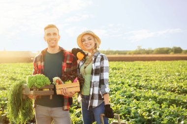 Çiftçiler alanında toplanan sebzeler ile