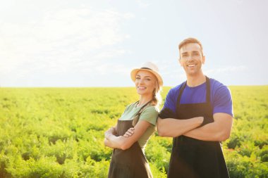 Güneşli alan çiftçilerin