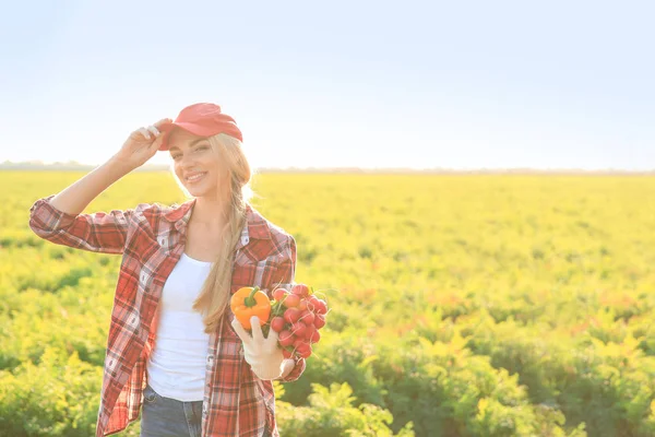 Kvinnliga jordbrukare med insamlade grönsaker i fältet — Stockfoto