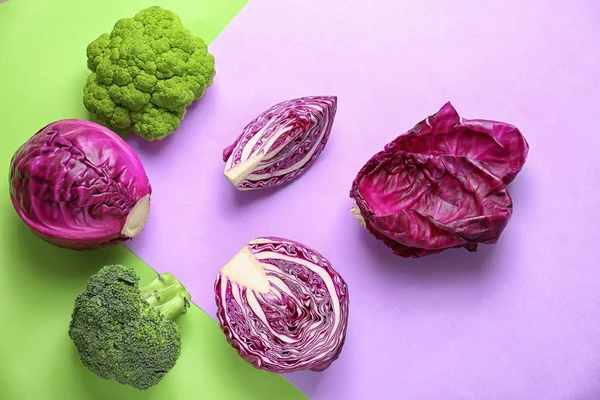 Different kinds of cabbage on color background — Stock Photo, Image