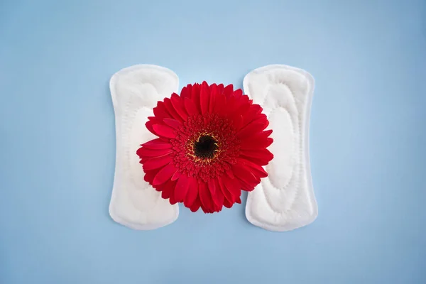 Almohadillas menstruales con flor roja sobre fondo de color — Foto de Stock