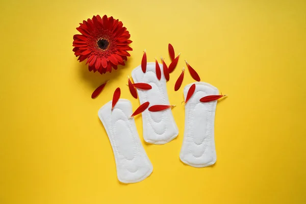 Menstrual pads with red flower on color background — Stock Photo, Image
