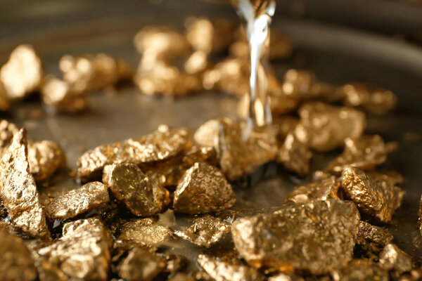Gold nuggets on plate, closeup