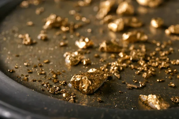Pepitas de oro en la placa de metal, primer plano — Foto de Stock