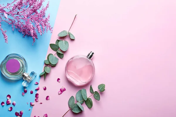 Perfume bottles with tropical plants on color background — Stock Photo, Image