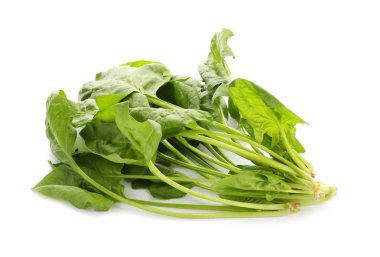 Beyaz arka plan üzerinde taze aromatik kuzukulağı