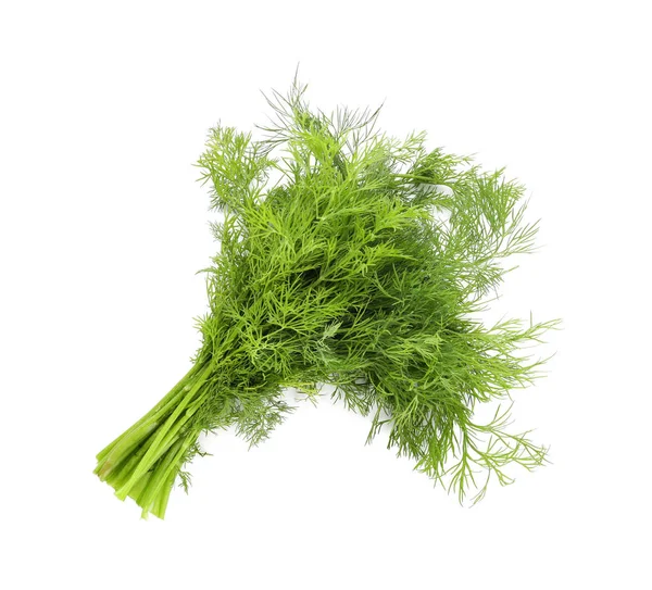 Bund frischer aromatischer Dill auf weißem Hintergrund — Stockfoto