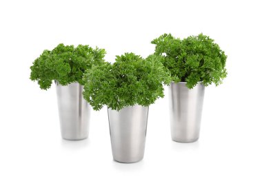 Bardak beyaz zemin üzerine taze aromatik maydanoz ile