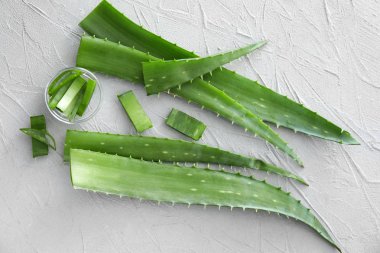 Taze kesilmiş aloe vera yaprakları gri tablo ile kase
