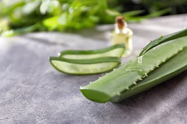 Taze aloe vera suyu gri masada damlama ile yaprakları