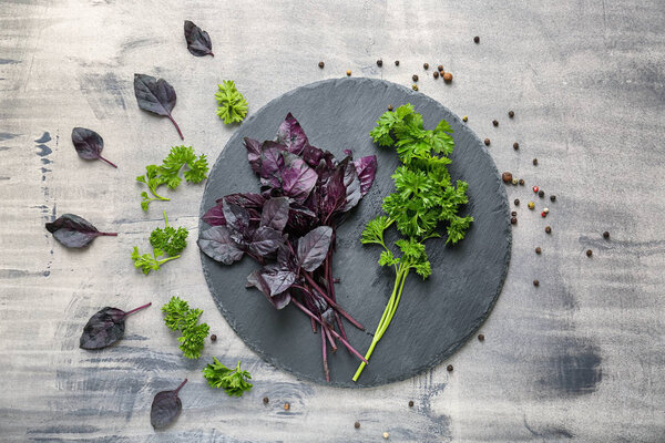 Slate plate with fresh aromatic herbs and spices on grey table