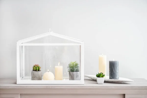 Beautiful burning candles with plants on light table