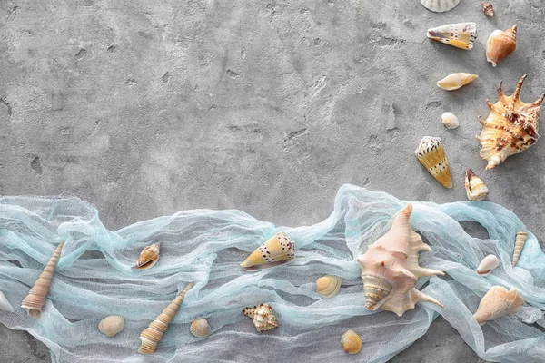 Composition with different sea shells on grey background — Stock Photo, Image