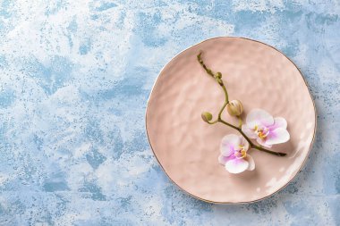 Plaka renk arka plan üzerinde güzel orkide şubesi ile