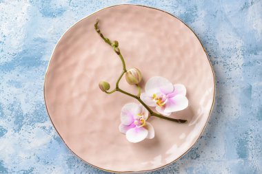 Plaka renk arka plan üzerinde güzel orkide şubesi ile