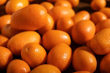 Lezzetli Kamkat meyve, portre