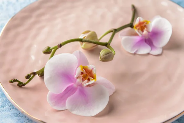 Hermosa rama de orquídea en placa, primer plano — Foto de Stock