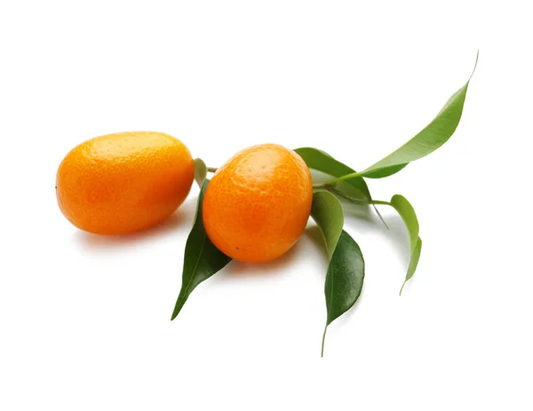 Köstliche Kumquat-Frucht auf weißem Hintergrund — Stockfoto