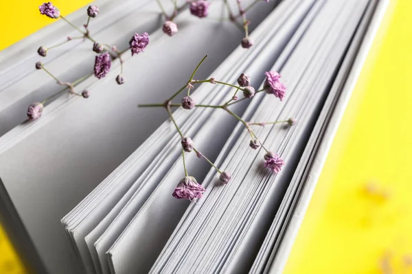 Boka med blommor på färg bakgrunden, närbild — Stockfoto