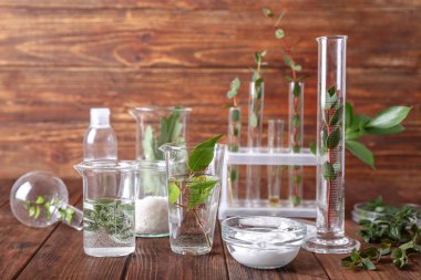 Ahşap masa üzerinde doğal kozmetik için malzemeler