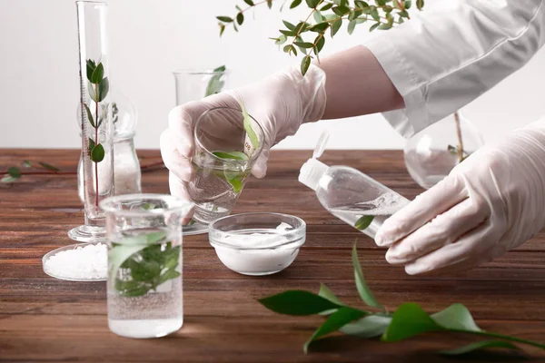 Esteticista preparar cosméticos naturais, close-up — Fotografia de Stock