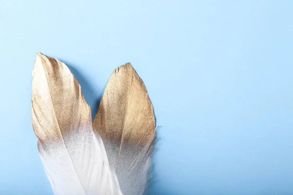 Feathers with golden paint on color background — Stock Photo, Image