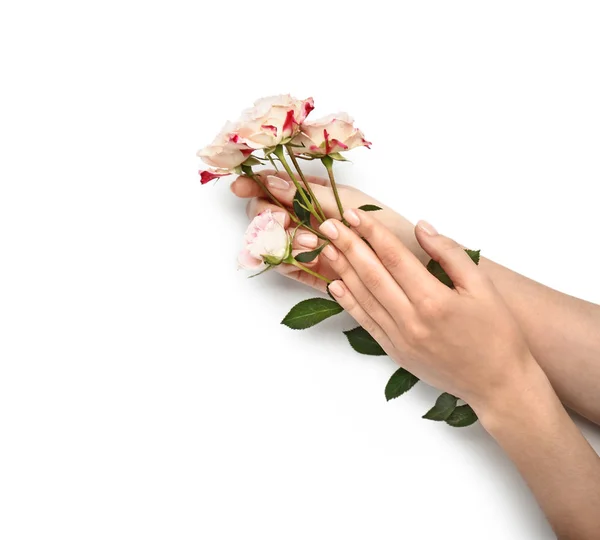 Female hands with rose flowers on white background — Stock Photo, Image