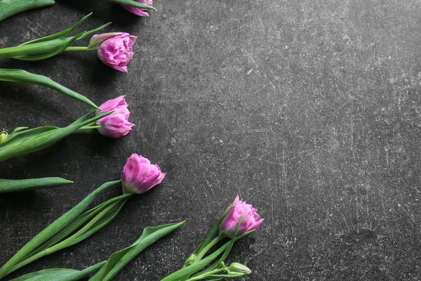 Beautiful tulips on dark background — Stock Photo, Image