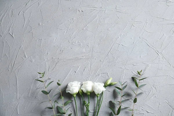 Schöne Blumen auf grauem Hintergrund — Stockfoto