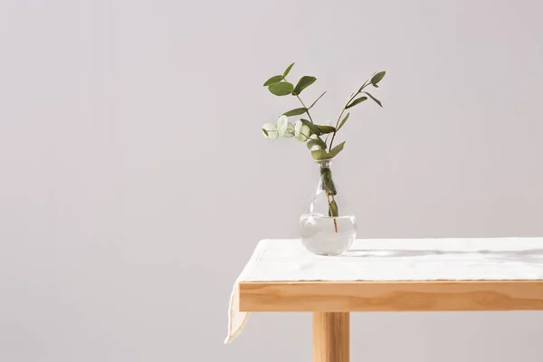 Vaso com ramos de eucalipto frescos na mesa contra fundo cinza — Fotografia de Stock