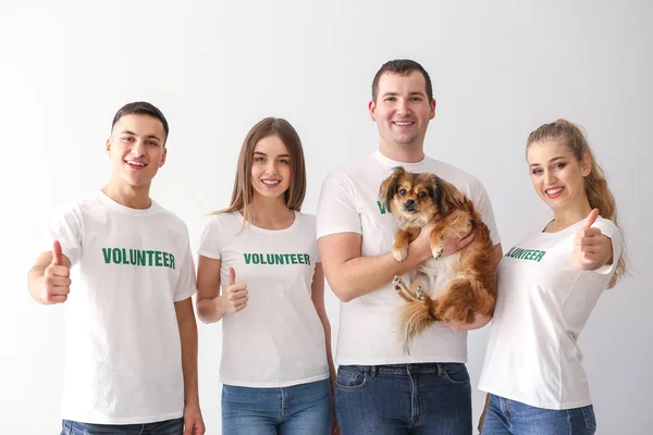 Equipo de jóvenes voluntarios con perro sobre fondo claro — Foto de Stock
