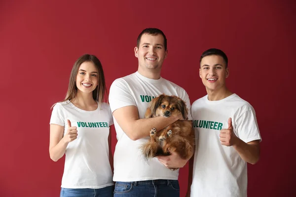 Jóvenes voluntarios con perro sobre fondo de color — Foto de Stock