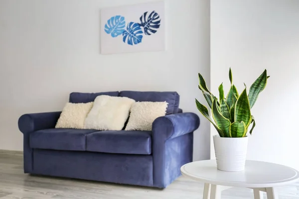 Table with houseplant and comfortable sofa in room — Stock Photo, Image