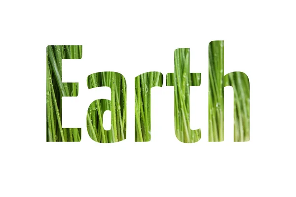 Konzept des Earth Day — Stockfoto