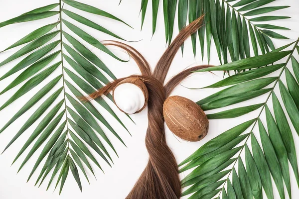 Long hair, coconut and tropical leaves on white background — Stock Photo, Image