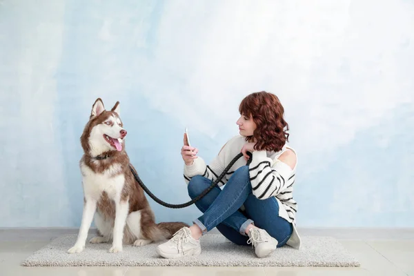 Young woman taking photo of her cute dog near color wall — Stock Photo, Image