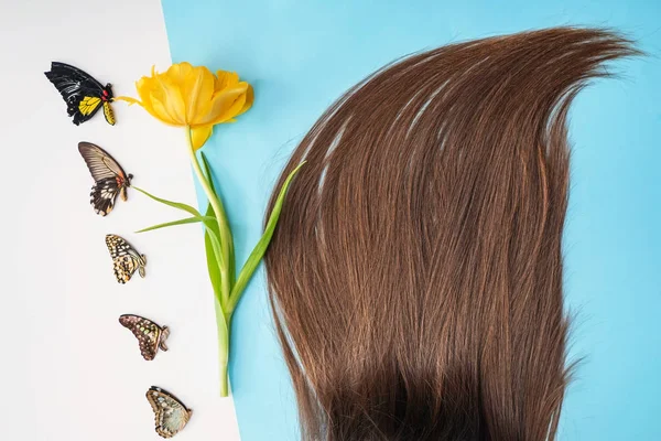 Красивые длинные волосы, цветы и бабочки на цветном фоне — стоковое фото
