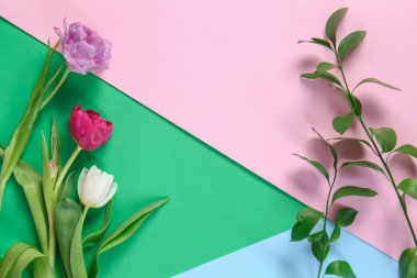 renkli arka plan üzerinde güzel laleler