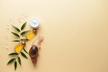 Dev Achatina salyangoz ve kozmetik renk arka plan üzerinde