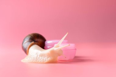 Dev Achatina salyangoz ve kozmetik renk arka plan üzerinde