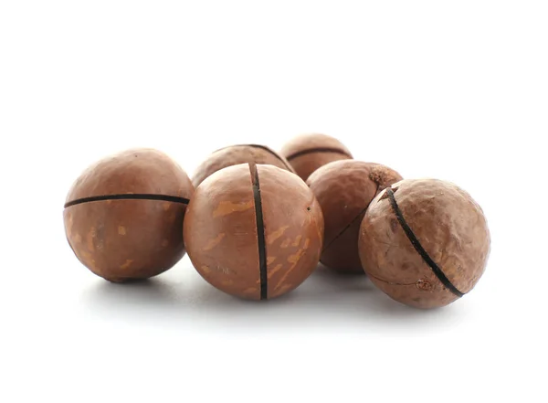 Nueces de macadamia sobre fondo blanco — Foto de Stock