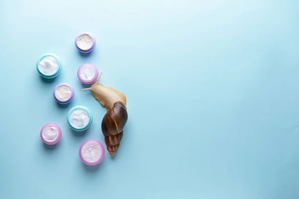 Caracol gigante Achatina y cosméticos sobre fondo de color —  Fotos de Stock